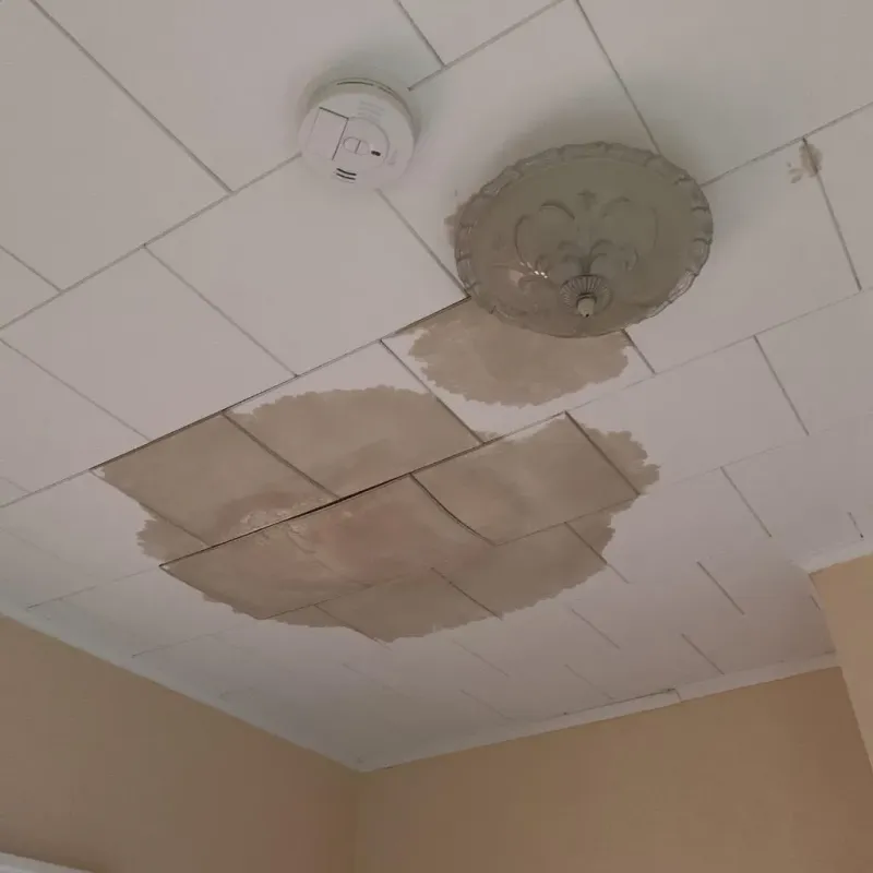 Ceiling Water Damage Repair in Llano Grande, TX