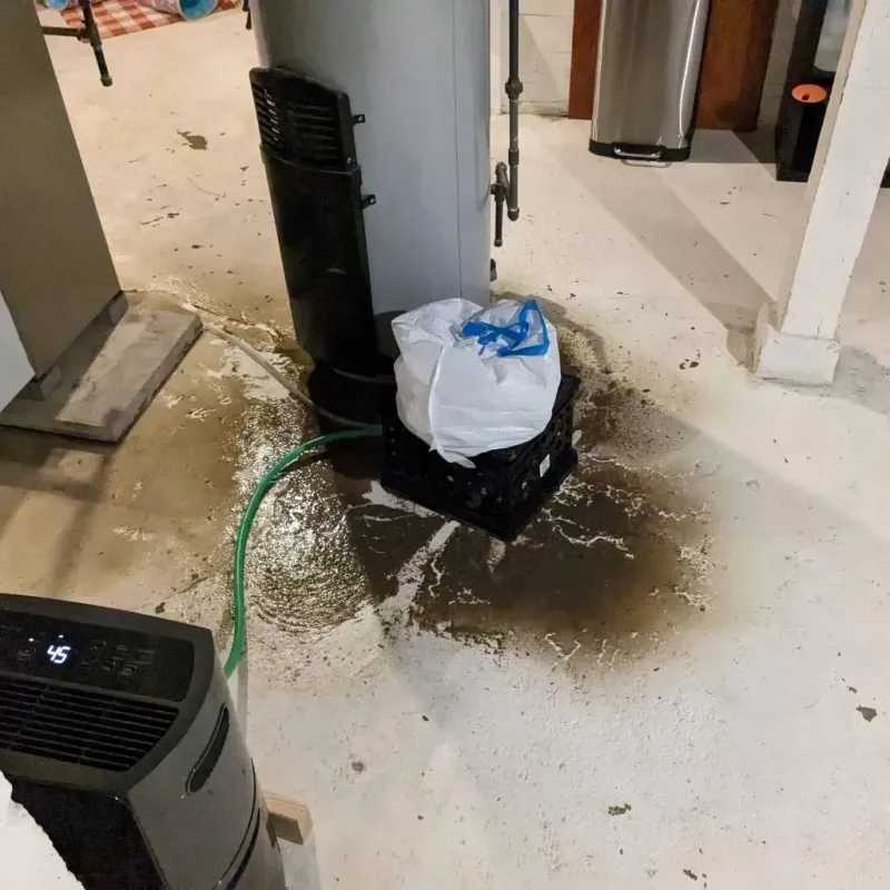 Sewage Backup Cleanup Service in Llano Grande, TX